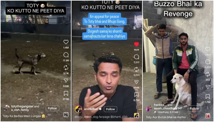 — Screengrabs via Instagram