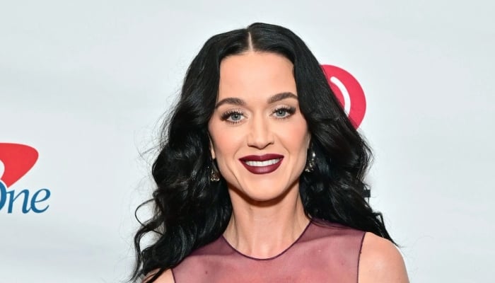 Katy Perry looks ahead to 2026 after eventful 2025 year