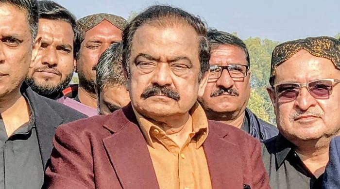 Impossible for PM to offer dialogue without consulting Nawaz, establishment: Rana