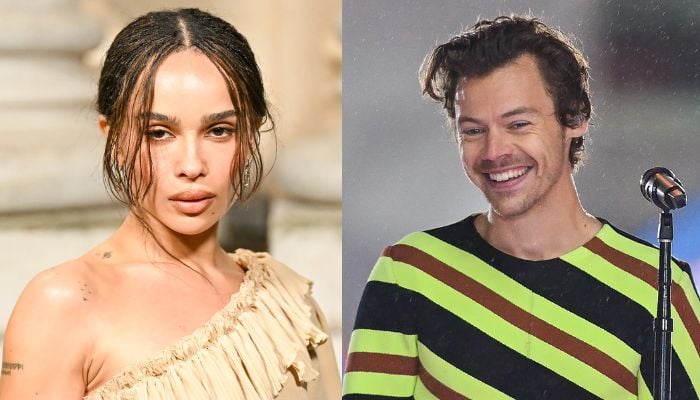 Harry Styles, Zoe Kravitz romance reportedly getting serious