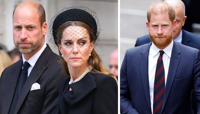 Prince William, Princess Kate new fears confirm Harry claims