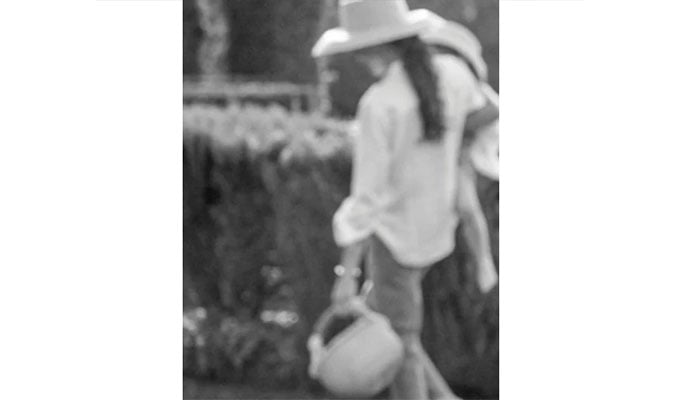 Meghans sunlit moment