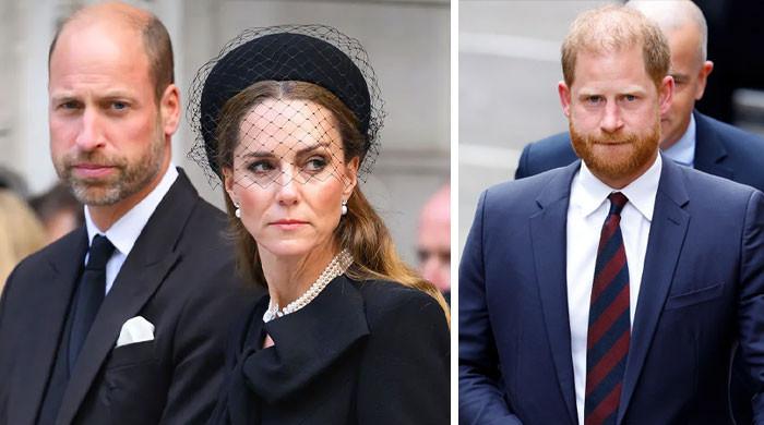 Prince William, Princess Kate new fears confirm Harry's bold concerns