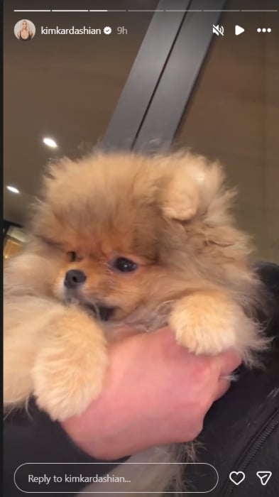 Kim Kardashian mocks Christmas backlash with fresh update