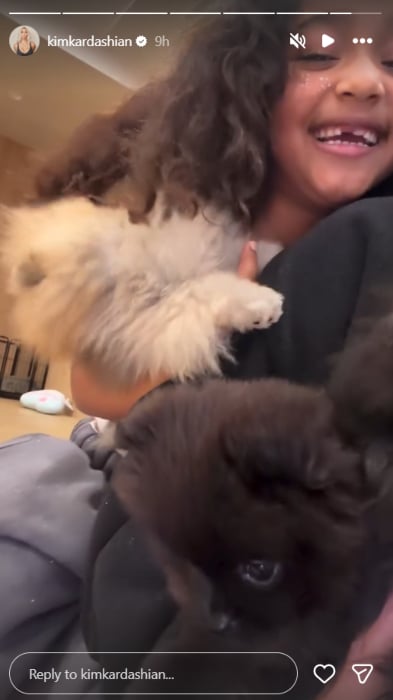 Kim Kardashian mocks Christmas backlash with fresh update