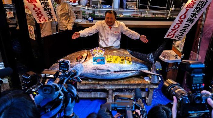 Record-breaking bluefin tuna sells for $3.2m at Tokyo auction