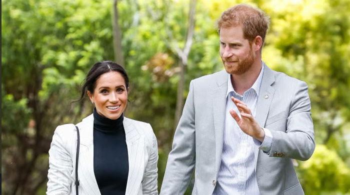 Prince Harry's security win could bring Archie and Lilibet to King if Meghan agrees