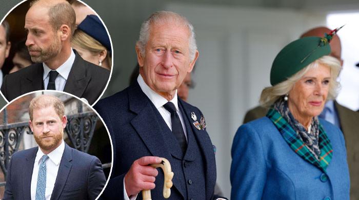 King Charles makes one last plea to Harry, William for Camilla