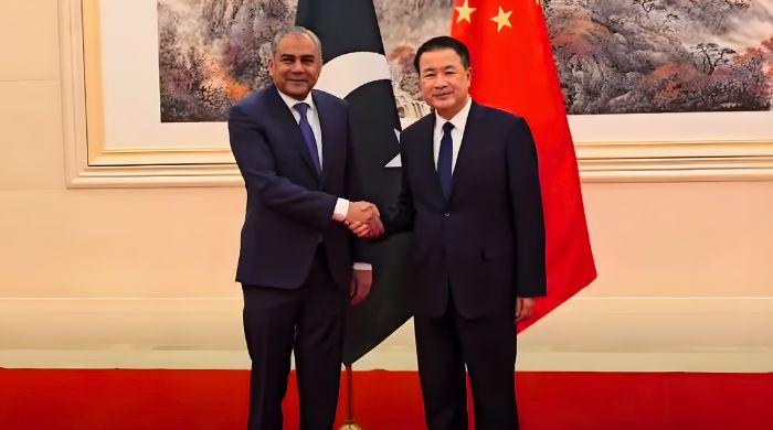 Special protection unit being set up in Islamabad for Chinese citizens: Naqvi