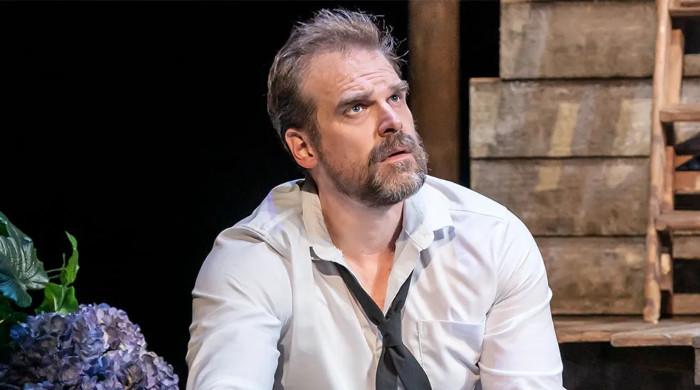 'Stranger Things' star David Harbour suddenly quits anticipated release