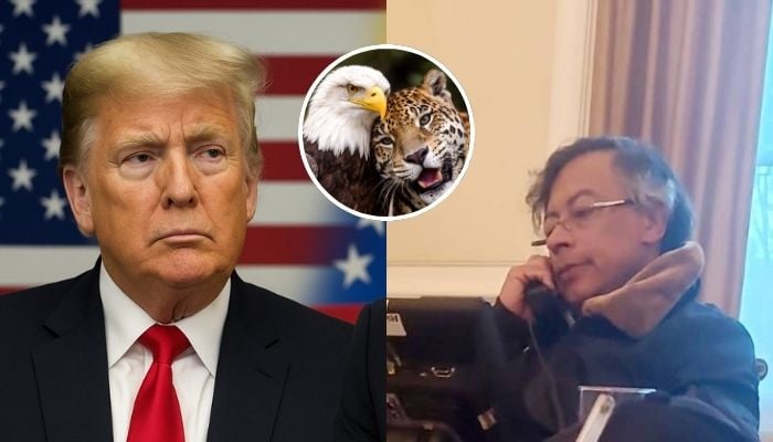 Trump invites Petro to White House after high-stakes phone call