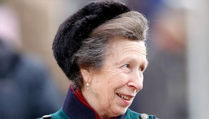 Why Princess Anne remains the royal familys ultimate grafter