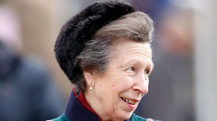 Why Princess Anne remains the royal family's ultimate grafter