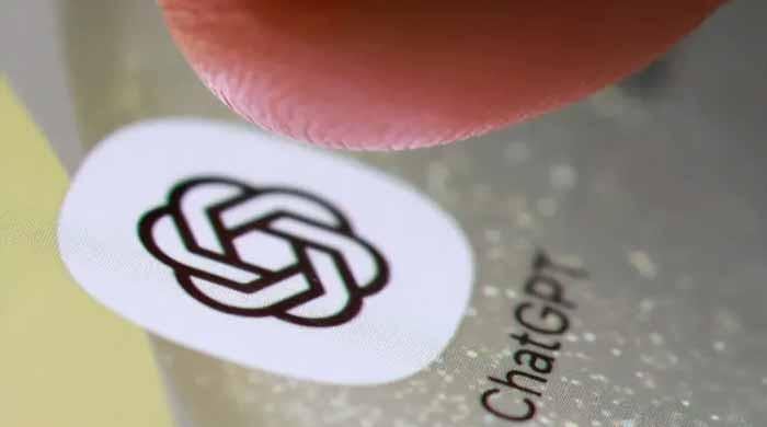 'I don't': AI wedding vows fall foul of Dutch law