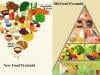 Does new US food pyramid put too much steak on your plate?