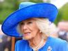 Queen Camilla confirms groundbreaking news: ‘more urgent than ever'