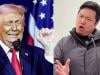 WATCH: Viral 'Chinese Trump' wins laughs on both sides of Pacific