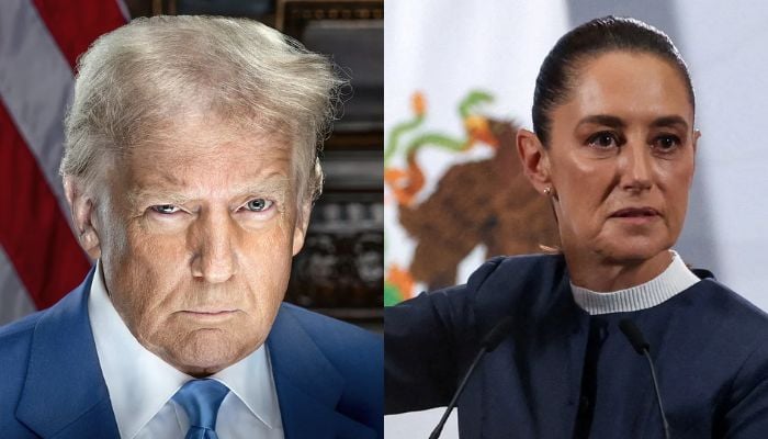 Trump hints at military operation against drug cartels running Mexico