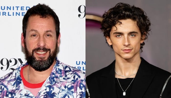 Timothée Chalamet, Adam Sandler’s basketball game sparks viral moment