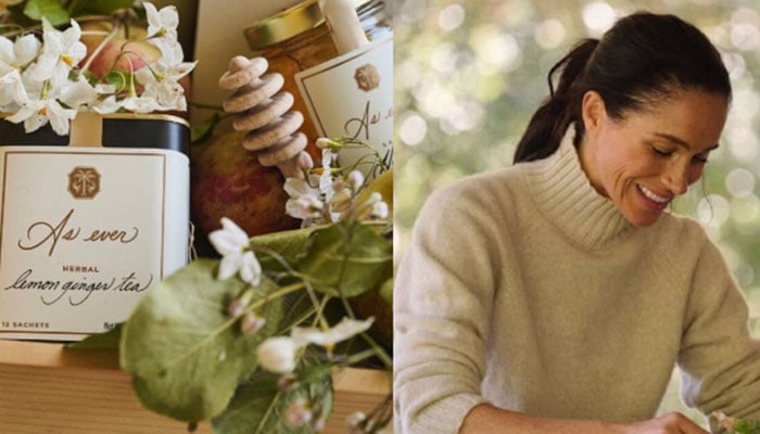 Meghan Markle hits basic chic jokes about red paint moments