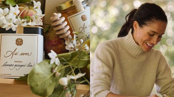 Meghan Markle hits basic chic jokes about 'red paint moments'