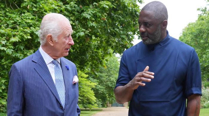 How King Charles honour for Idris Elba changes protocols for actor?