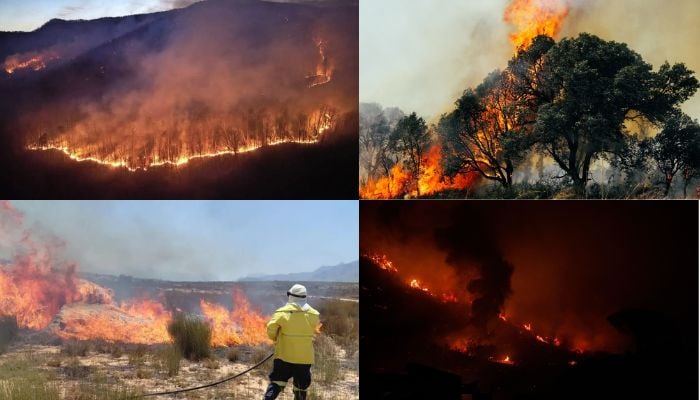 Wildfires in Western Cape region