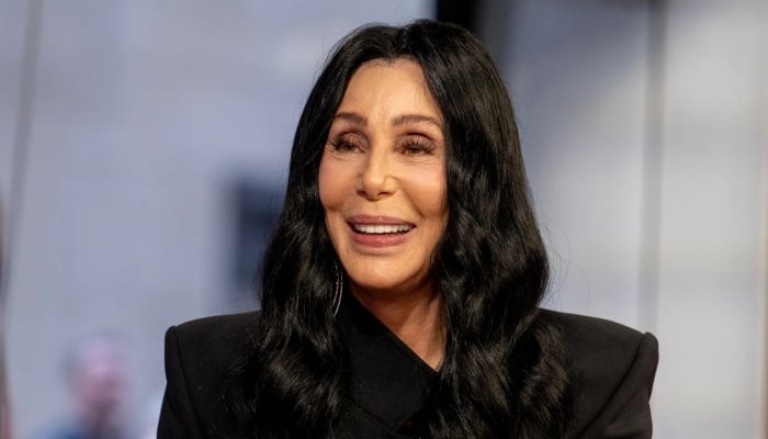 Cher has reportedly been in talks with Netflix for months and, finally, the deal is as good as done