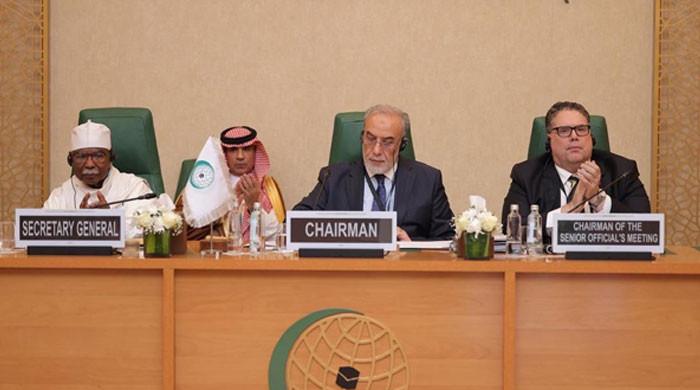 OIC terms Israel's recognition of Somaliland illegal, warns against displacing Palestinians