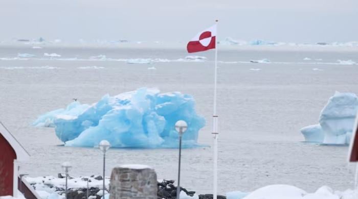 Nordics reject Trump's claim of Chinese, Russian ships around Greenland: FT