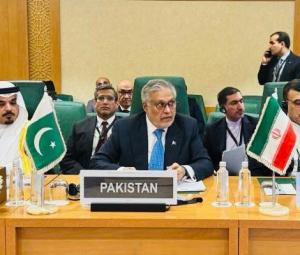 At OIC moot, Pakistan rejects Israel's recognition of 'Somaliland', warns of consequences