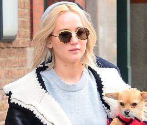 Jennifer Lawrence condemned for ‘beyond disturbing' treatment of pet dog