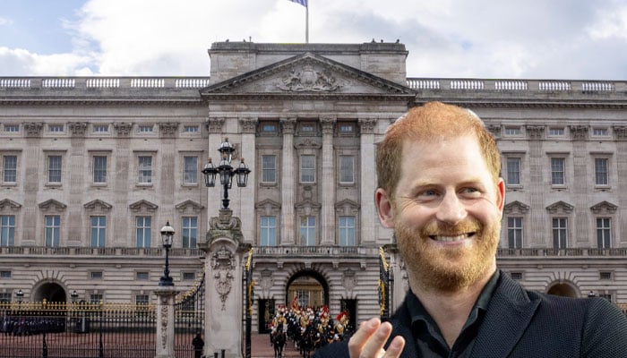 Palace takes bold stand for Prince Harry amid security fight