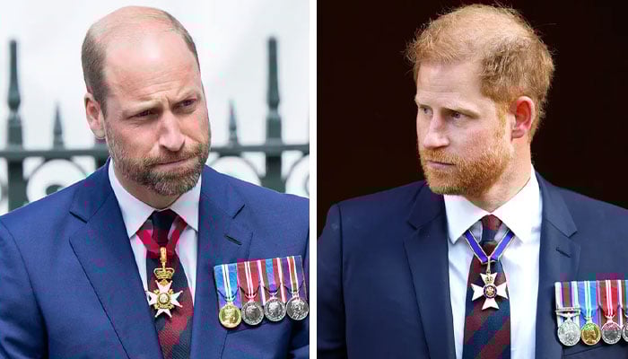 Prince William finds common ground with Prince Harry after fresh setback