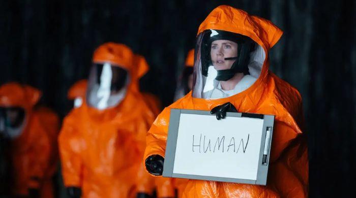 New research finds 'Honeybees can do Math', could help humans communicate with aliens