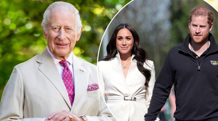 King Charles bombshell offer to Harry, Meghan exposed in deleted story