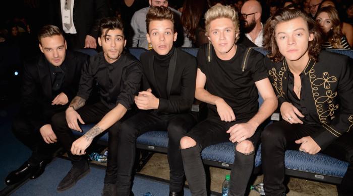 Louis Tomlinson did not expect all One Direction to succeed solo