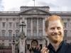 Palace takes bold stand for Prince Harry amid security fight
