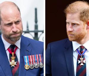 Prince William finds common ground with Prince Harry after emotional event