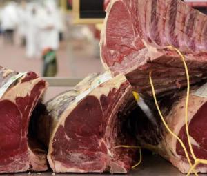 Pet deaths mystery in Lahore's Green Town solved