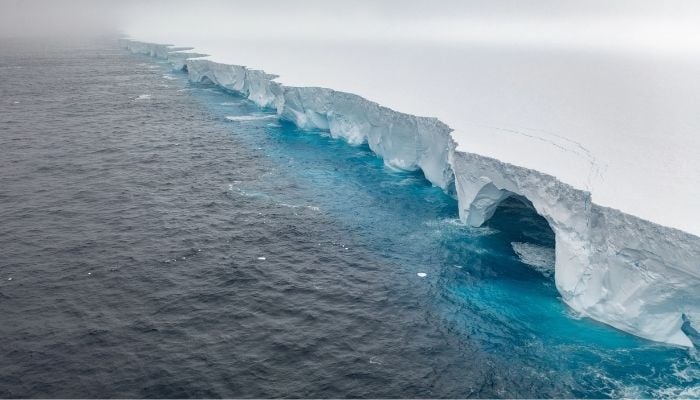 Worlds oldest, largest iceberg A23a finally disintegrates after 40 years at sea
