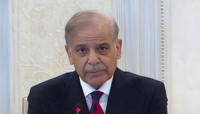 Prime Minister Shehbaz Sharif addresses federal cabinet meeting in Islamabad, January 14, 2026. — Screengrab via YouTube/Geo News