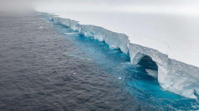 World's oldest, largest iceberg 'A23a' finally disintegrates after 40 years at sea