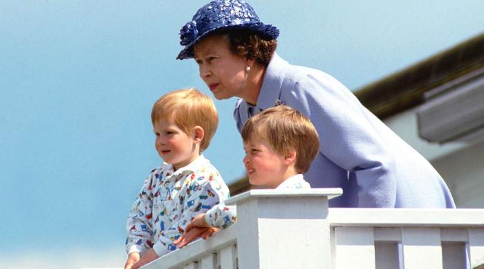 Late Queen became shield for William and Harry while UK mourned