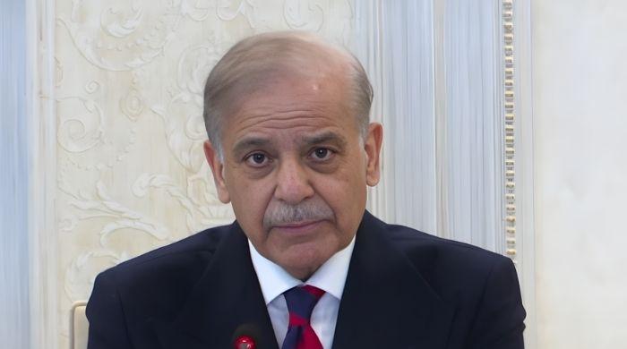 Pakistan in talks with multiple countries over fighter jet sales: PM Shehbaz
