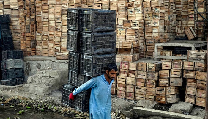 A labourer lugs plastic crates at a fruit and vegetable market in Karachi, Pakistan, on November 18, 2025. — AFP
