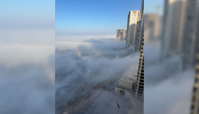 A view of dense fog in Karachi on January 15, 2026. — Geo News