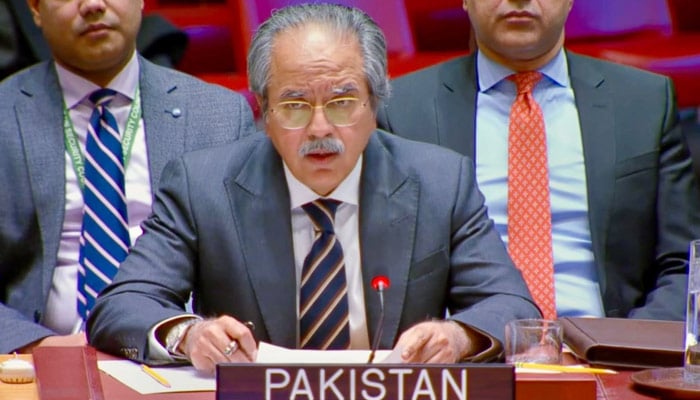 Pakistans Permanent Ambassador to the UN Asim Iftikhar Ahmad addresses UNGA session on Jan 14, 2025. — @PakistanUN_NY