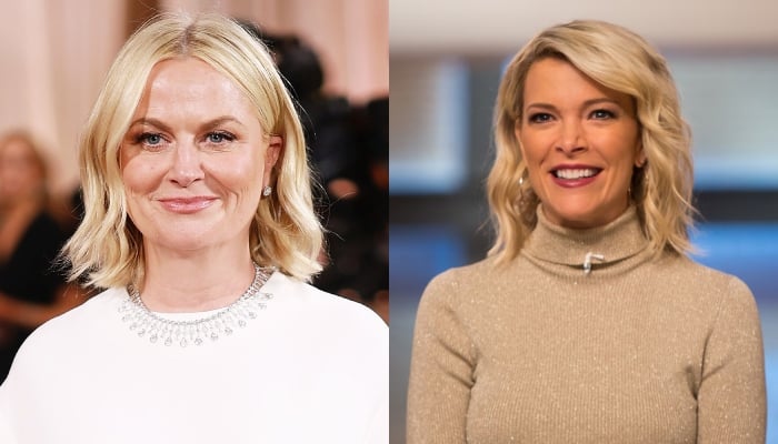 Megyn Kelly throws shade at Amy Poehler after Golden Globes 2026 win
