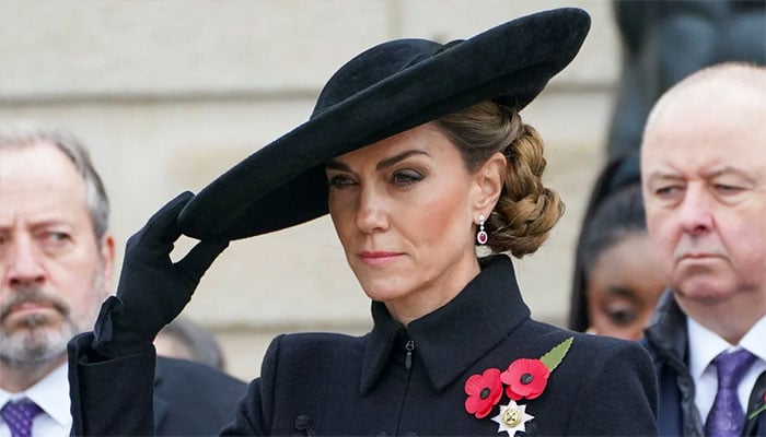 Princess Kate surrounded by angry neighbors campaigning against her